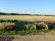 Terreno agricolo in vendita a Montalto di Castro