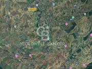 Terreno agricolo in vendita a Montalto di Castro,...