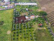 Terreno agricolo in vendita a Montecompatri