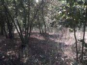 Terreno Agricolo in vendita a Montefredane