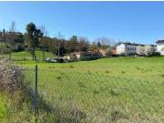 Terreno agricolo in Vendita a Montelabbate