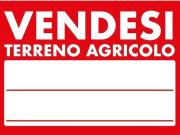 Terreno Agricolo in vendita a Montelupo Fiorentino