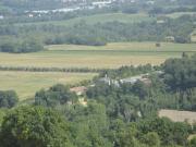 Terreno agricolo in Vendita a Montemaggiore al Metauro