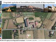 Terreno agricolo in Vendita a Montepulciano