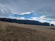 Terreno agricolo in vendita a Montepulciano