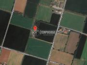 Terreno agricolo in vendita a Montichiari