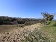 Terreno agricolo in vendita a Montottone