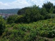 Terreno Agricolo in vendita a Napoli, Fuorigrotta