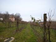 Terreno Agricolo in vendita a Nervesa della Battaglia,...