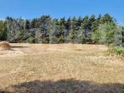 Terreno agricolo in vendita a Nettuno