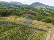 Terreno agricolo in vendita a Nicolosi