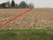 Terreno agricolo in Vendita a Nogara