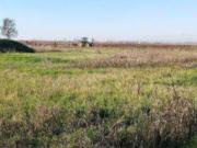 Terreno agricolo in Vendita a Nogara