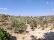 Terreno agricolo in vendita a Noto