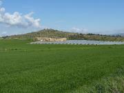 Terreno agricolo in vendita a Noto