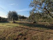 Terreno Agricolo in vendita a Noto