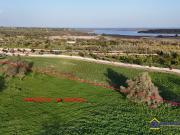 Terreno agricolo in Vendita a Noto