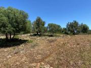 Terreno agricolo in vendita a Noto