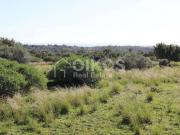 Terreno Agricolo in vendita a Noto, C.da Meti