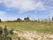 Terreno Agricolo in vendita a Noto, Colline Del Val Di Noto