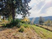 Terreno Agricolo in vendita a Offida