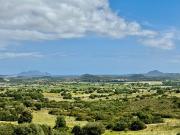 Terreno agricolo in vendita a Olbia