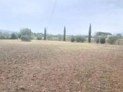 Terreno agricolo in vendita a Orentano Castelfranco di...