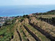 Terreno Agricolo in vendita a Ospedaletti