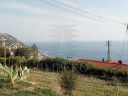 Terreno agricolo in Vendita a Ospedaletti