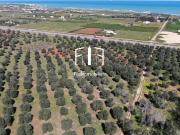 Terreno agricolo in vendita a Ostuni