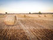 Terreno agricolo in vendita a Padova