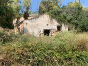 Terreno agricolo in vendita a Palermo