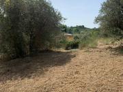 Terreno agricolo in Vendita a Palombara Sabina