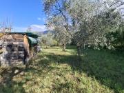 Terreno Agricolo in vendita a Palombara Sabina