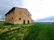 Terreno agricolo in Vendita a Panicale