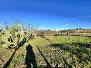 Terreno Agricolo in vendita a Partinico