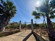 Terreno Agricolo in vendita a Partinico