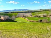 Terreno agricolo in vendita a Pastina Santa Luce 40000...