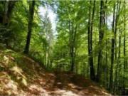 Terreno agricolo in Vendita a Perugia