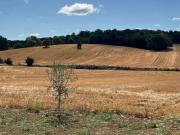 Terreno agricolo in vendita a Perugia