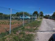 Terreno agricolo in vendita a Pesaro