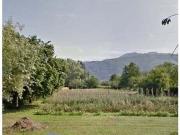 Terreno agricolo in vendita a Pietrasanta