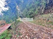 Terreno Agricolo in vendita a Pietrasanta, Capezzano Monte