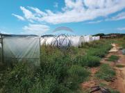 Terreno agricolo in vendita a Piombino