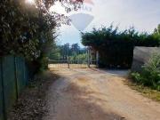 Terreno agricolo in vendita a Piombino