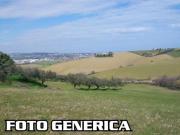 Terreno agricolo in vendita a Pisa 500000 mq Rif: 728241
