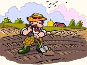 Terreno agricolo in vendita a Pistoia