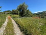 Terreno Agricolo in vendita a Pistoia