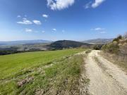 TERRENO AGRICOLO in VENDITA a POMARANCE