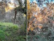 Terreno agricolo in Vendita a Postiglione